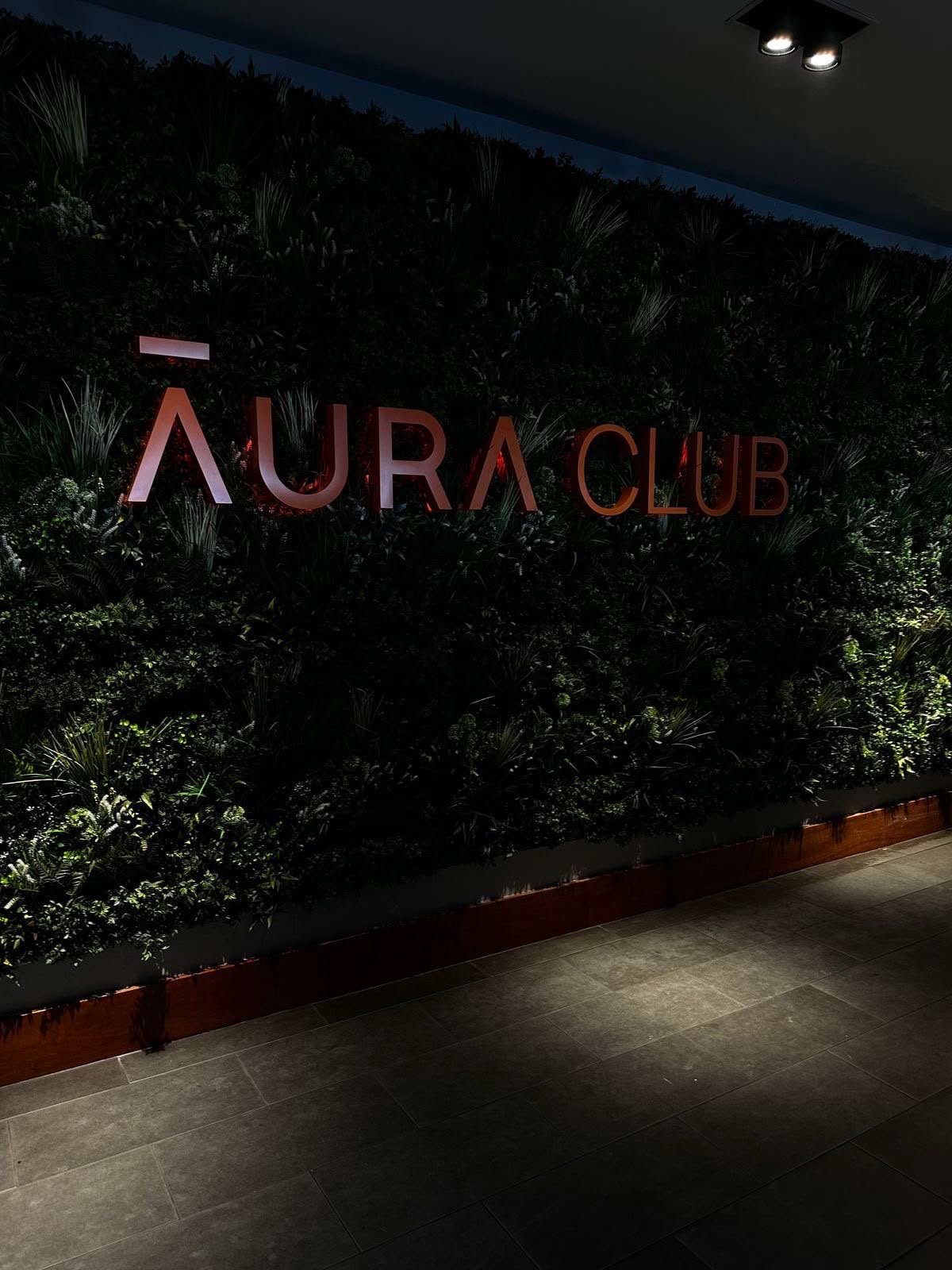 Aura
