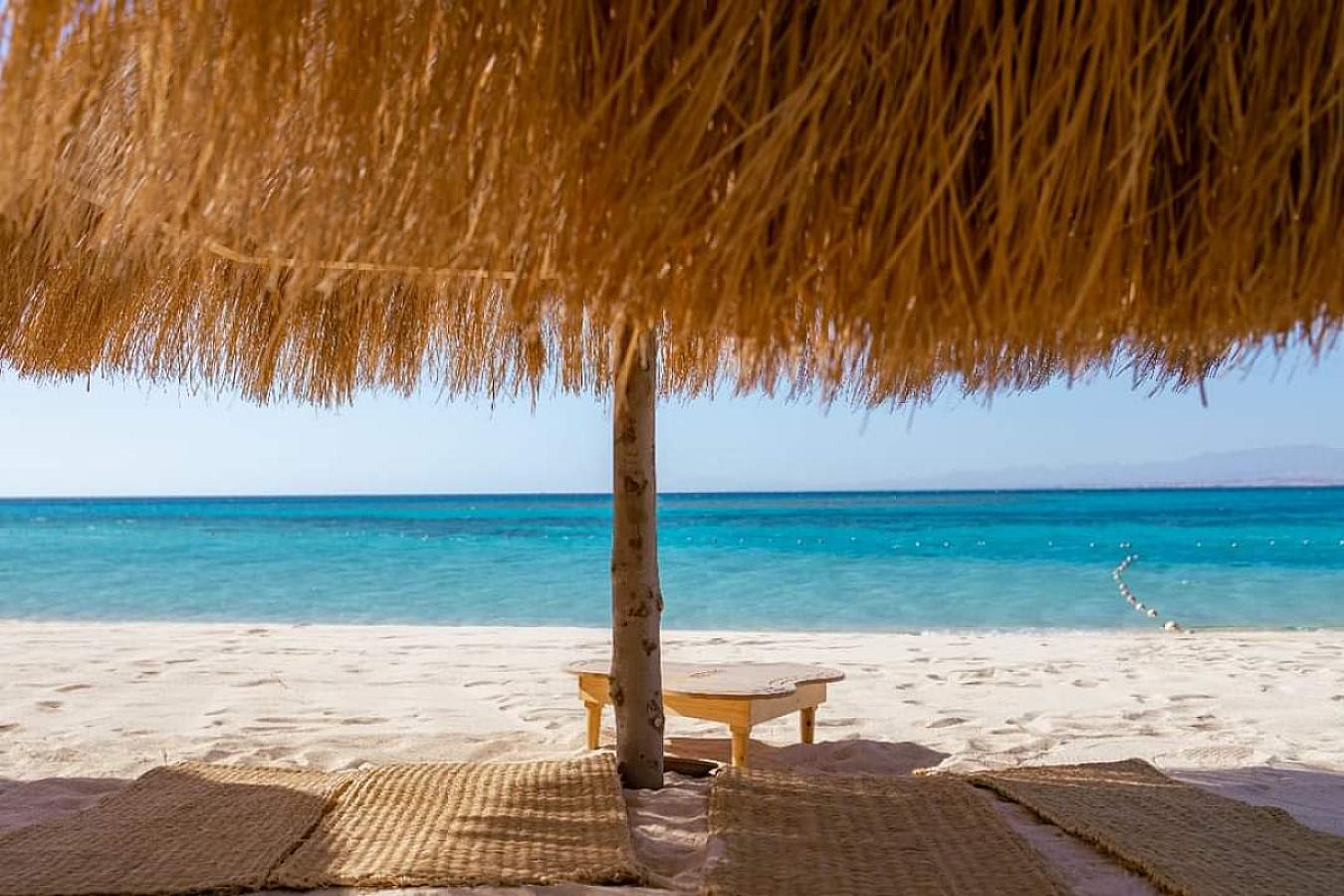 Orange or Hula Island Diving Adventure